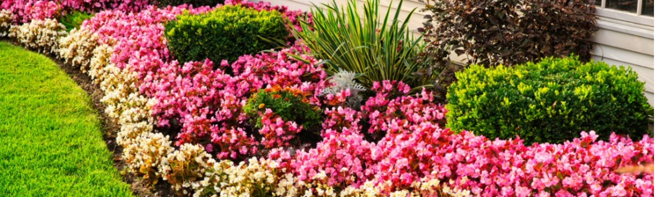 Reds Lawn Care LLC – Making Texas beautiful, one lawn at a time!